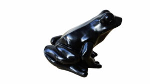 Hoerl Frosch schwarz